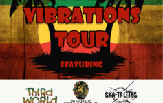 REGGAE VIBRATIONS