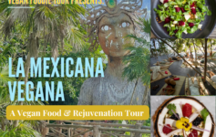 LA MEXICANA VEGANA