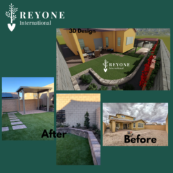 Reyone International 3D Before and After